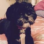 Dianne Blodgett - @blodgettdianne - Instagram