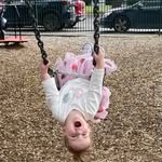 Diane Blyth - @dicey_dora - Instagram
