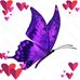 Diane Blyth - Facebook