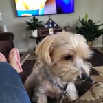 Diane Ivey Blythe - @diane.blythe.792 - Instagram