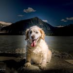 Diane Boddy - @dianeboddy61 - Instagram