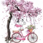 Diane Bogan Evenson - @dmevenson13 - Instagram