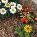 Diane Borg - Facebook