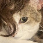 Diane Bouchard - @di.aaaaa.ne - Instagram