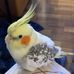 Diane Bouchard - Facebook