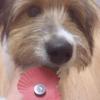 Diane Bowden - @diane.bowden - TikTok