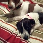 Diane Boykin - @diane.boykin - Instagram