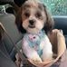 Diane Braddock - Facebook
