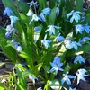 Diane Bracher - @diane.bracher - TikTok