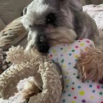 Diane Bray - @bray102802 - Instagram