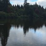Diane Bray - @bray121058 - Instagram