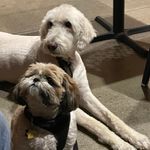 Diane Bray - @bray_diane - Instagram