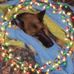 Diane Bredesen - Facebook