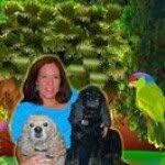 Diane Barrow Reese - @diane_b_reese - Instagram