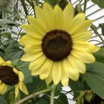Diane Brenner - @diane_brenner - Instagram