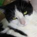 Diane Brenner - Facebook
