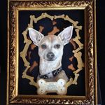 Diane Bressler - @pet_pop_box - Instagram
