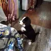 dianebresler - @dianebresler - TikTok