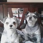 Diane Breton - @didi.dou726 - Instagram