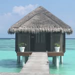 Diane Breton Travel Counsellor - @dianebreton_travelcounsellor - Instagram