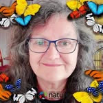 Diane.Breton - @diane.breton.3701 - Instagram