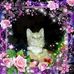 Diane Brett - Facebook