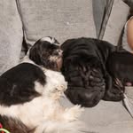 Diane Brett - @dianebrett45 - Instagram