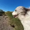 Diane Bridges - @diane.bridges0 - TikTok