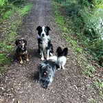 Diane Bruce - @launatzarben - Instagram