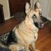 Diane Bruce - Facebook