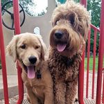 Brunner George & Diane Keaton - @brunner.and.diane - Instagram
