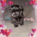 Diane Brunner - Facebook