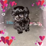 Diane Brunner - @dbrunner1070 - Instagram