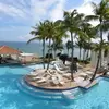 dianebrunnerpfist - @dianebrunnerpfist - TikTok