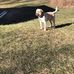 Diane Brush - Facebook