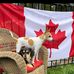 Diane Brunt - Facebook
