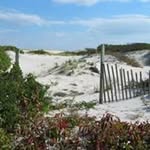 Diane Bryant - @dianebryant2237 - Instagram