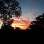 Diane Bryant - @diane.bryant.5264 - Instagram