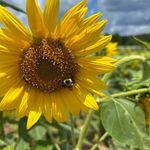 Diane Buck - @buck.diane - Instagram
