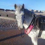 Diane Bundy - @kidogo17 - Instagram