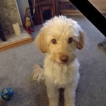 Diane Bunting - @diane.bunting.31 - Instagram