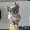 Diane Bunting - @diane.bunting - TikTok