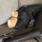 Diane Bunting - @diane.bunting.1 - Instagram