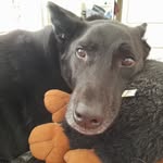 Diane Burchell - @burchelldiane - Instagram