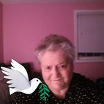 Diane Burden Wills - @burden.wills - Instagram