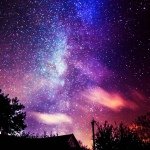 Diane Burkhardt - @dianeburkhardt - Instagram