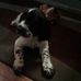 Dianne Burkhardt - Facebook