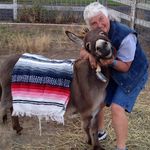 Diane Smith Burnham - @dianesmithburnham - Instagram