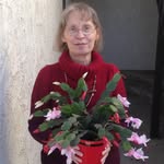 Diane Burnside - @ddburnside - Instagram