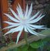 Diane Burr - Facebook